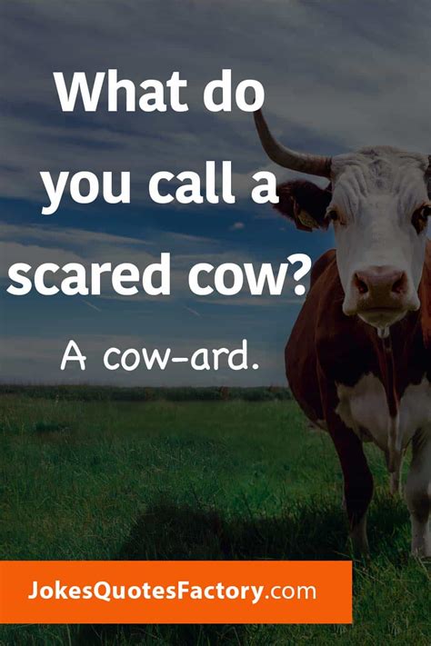 47 Best Cow Jokes For Kids With Dad Jokes And Funny Puns