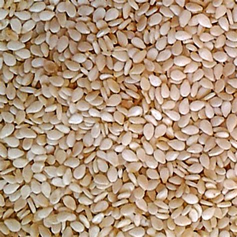 Zim Farmers Shift Focus To Sesame Plant Production The Anchor