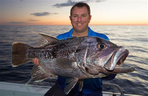 Busselton Ilovefishing