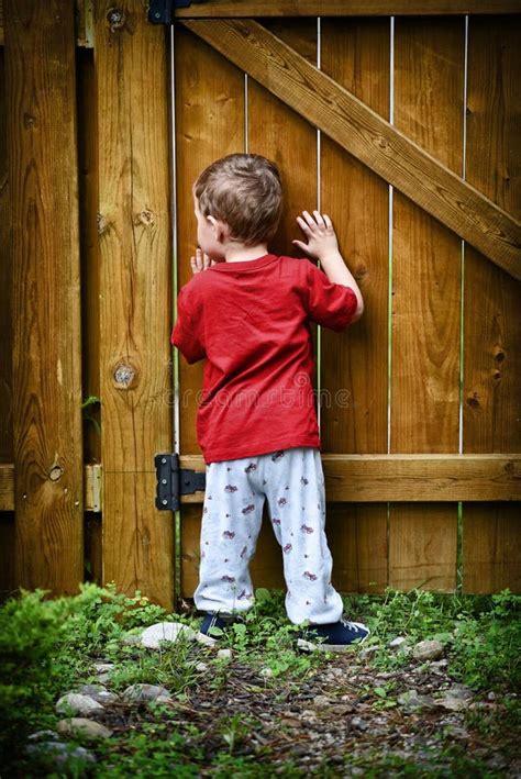 Toddler Peeking Through Fence Stock Photo Image Of Curiosity Child