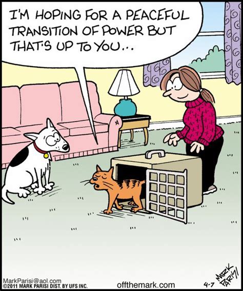 124 Best Images About Funny Pet Related Cartoons On