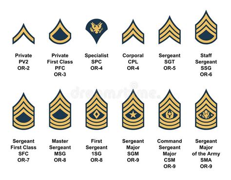 Terms in this set (12). Army Enlisted Rank Insignia Stock Vector - Illustration of ...