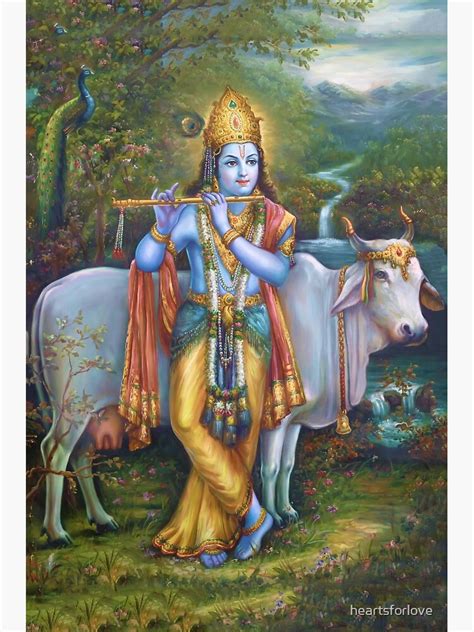 Lord Krishna spielt Flöte in der Natur mit Nandi beide Symbole der