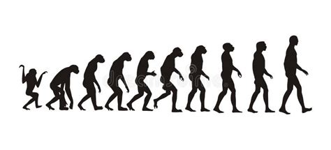 Human Evolution Stock Illustration Illustration Of Black 9279572