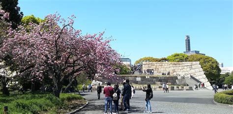 Cherry Blossom Highlight Asakusa Ueno Imperial Palace And Tsukiji Fish