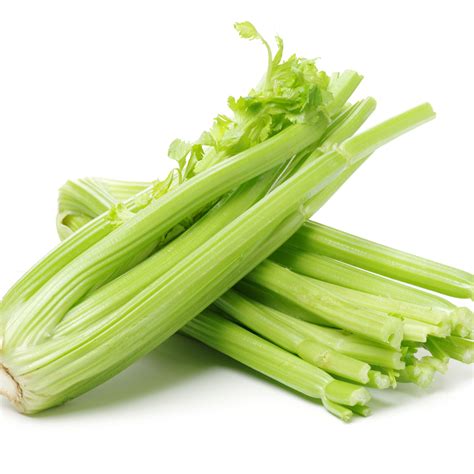 Celery - Bunch Large - FreshPoint Local