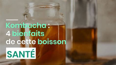 Kombucha 4 Bienfaits De Cette Boisson YouTube