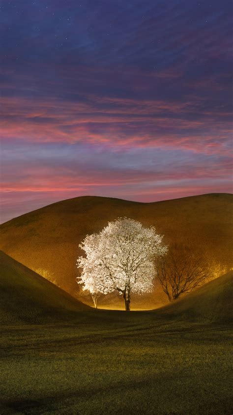 Download Green Hills Landscape White Tree 720x1280 Wallpaper Samsung