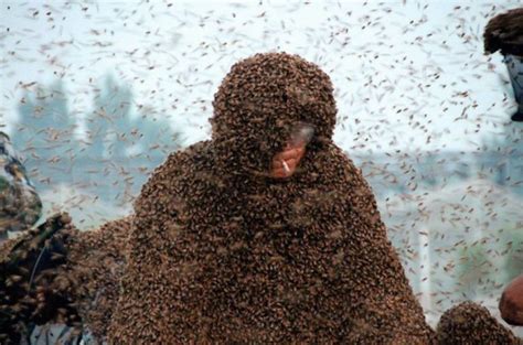 Man Sets New World Record For Being Covered In Bees