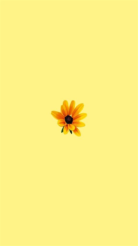 Download Sunflower Sticker Pastel Yellow Aesthetic Wallpaper