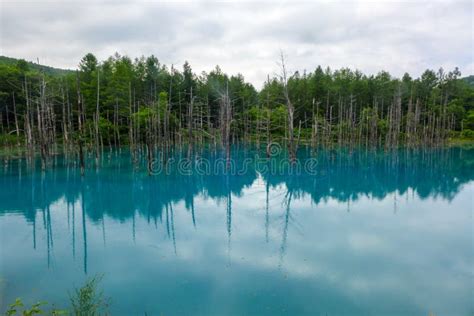 Blue Pond In Hokkaido Japan Stock Image Image Of Hokkaido Famous