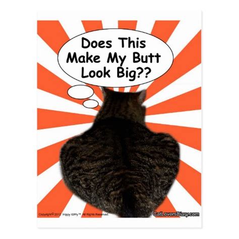 Hippy Kitty Does This Make My Butt Look Big Postcard Zazzle