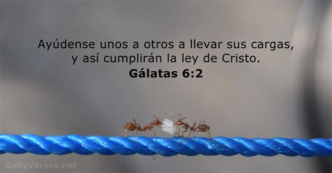 Gálatas 62 Rvr95 Versículo De La Biblia Del Día