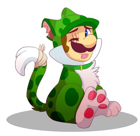 Poor Kitty By Dragonpotato56 On Deviantart Super Mario And Luigi Super