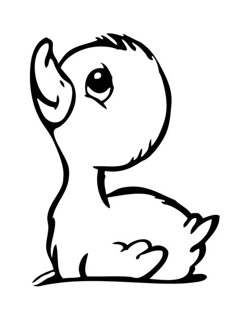 Duckling Coloring Pages Best Coloring Pages For Kids Animal Coloring