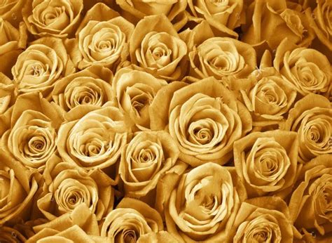 Gold Rose Flower Photography Studio Background Vinyl Cloth High Quality