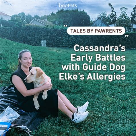 Tales By Pawrents 1 Cassandras Early Battles With Guide Dog Elkes