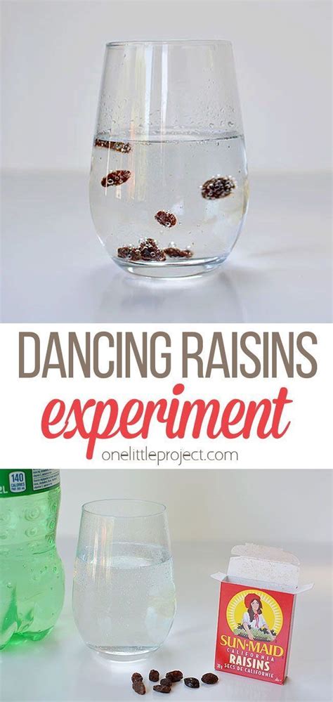 Dancing Raisins Science Experiment Worksheet