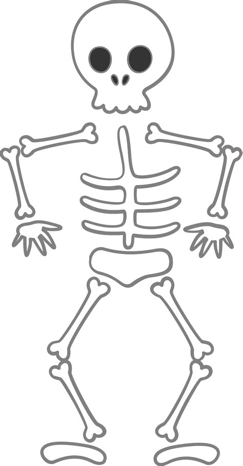 Clipart Pictures Of Skeletons