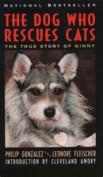 The Dog Who Rescues Cats The True Story Of Ginny By