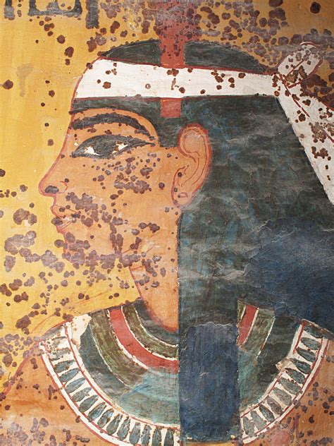 Getty Completes Study Of Paintings At King Tuts Tomb The New York Times