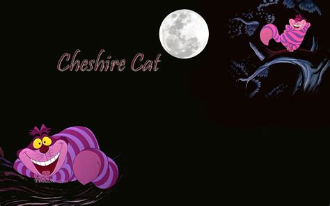 Cheshire Cat Backgrounds Wallpaper Cave