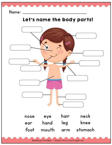 Printable Body Parts Worksheet