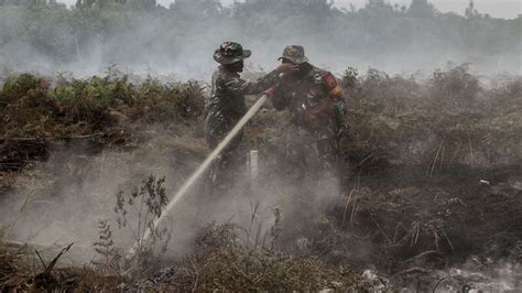 Prajurit Tni Berjibaku Padamkan Kebakaran Hutan Dan Lahan Di Riau