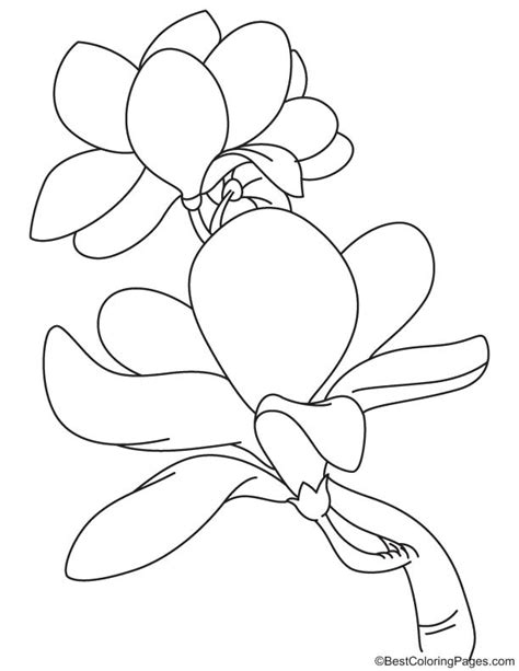 Blooming Magnolia Coloring Page Download Free Blooming Magnolia