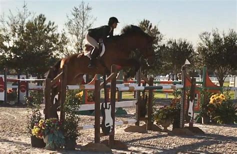 Hunter Jumper Riding Lessons In Dallas Fort Worth North Texas