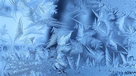 Download Wallpaper 1920x1080 Frost Patterns Ice Full Hd
