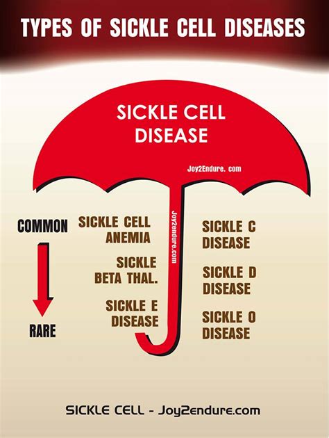 Sickle cell disease (scd) is an umbrella term for a group of genetic disorders affecting the body's red blood cells. SICKLE CELL AWARENESS: Why It is Important to Know the ...
