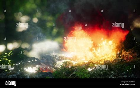 Wind Blowing On A Flaming Trees During A Forest Fire Stock Photo Alamy