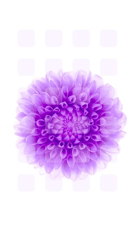 Download Purple Flower Iphone Wallpaper Gallery