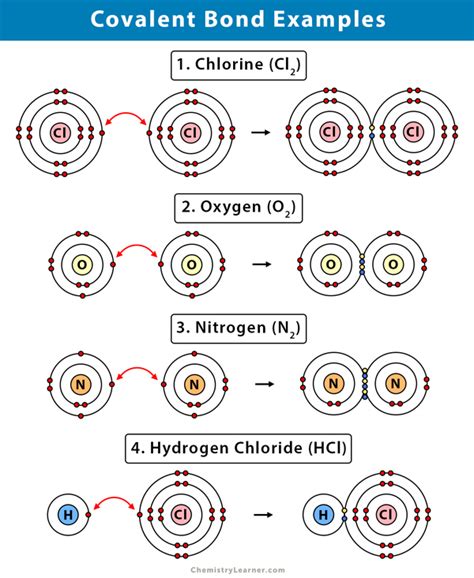 Covalent Bond Definition Types And Examples