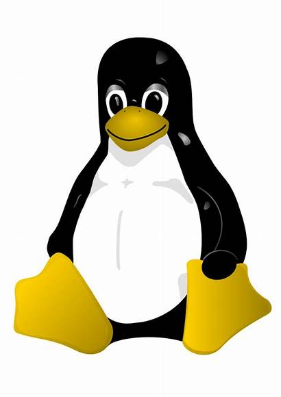 Penguin Animated Penguins Vectorial Tux Clipart Animals