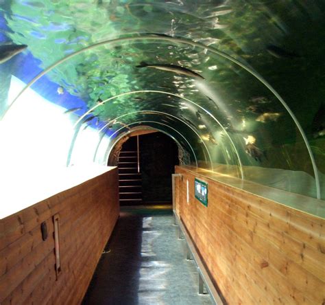 Aquarium Tunnel The Underwater Tunnel At The Lakeside Aqua Flickr