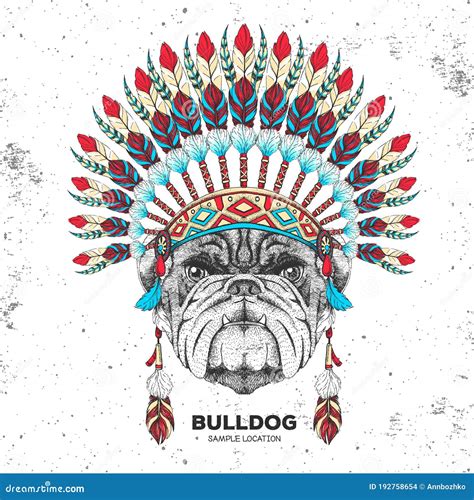 Hipster Animal Bulldog With Indian Feather Headdress Hand Drawing