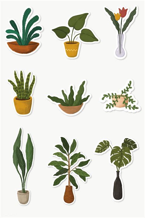 Indoor Plants Sticker Collection Premium Image By Noon