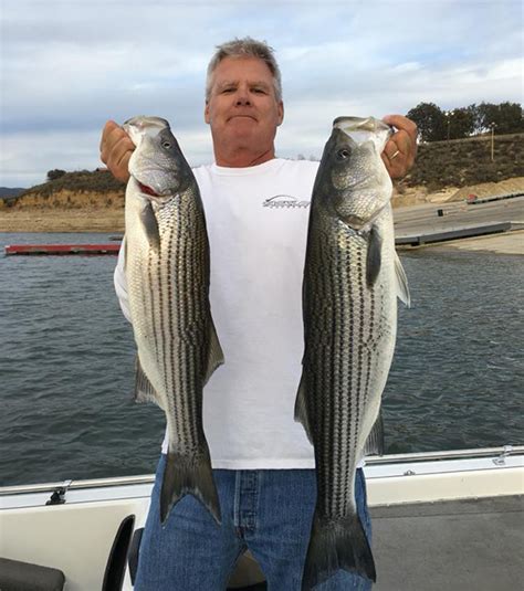 Water levels continue to fall, exposing new structure and areas to fish. Castaic Lake - Fish Reports & Map