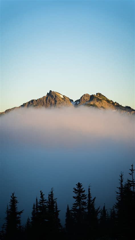 5k Free Download Mountains Fog Spruce Sky Hd Phone Wallpaper Peakpx