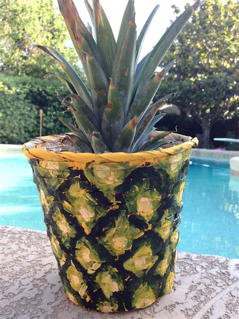 How To Plant A Pineapple And Make A Matching Planter Jennifer Perkins