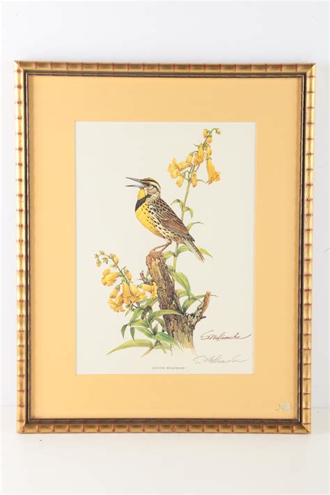 S Nakamura Offset Lithographs Eastern Meadowlark And Cedar Waxwing