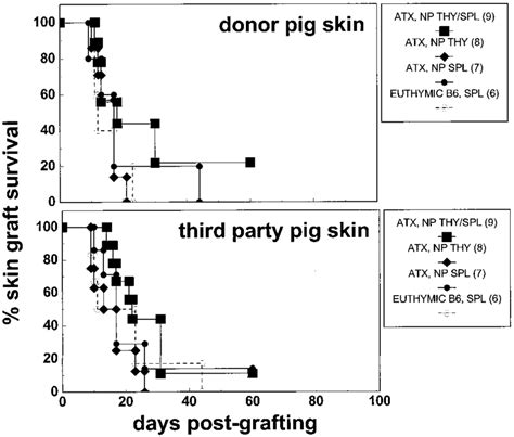 Rejection Of Both Donor And Third Party Pig Skin Grafts By Np Thy