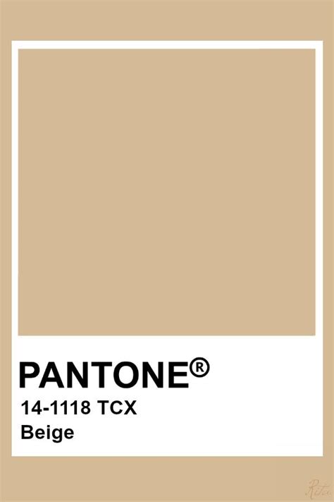 Pantone Beige Pantone Palette Pantone Swatches Pantone Colour