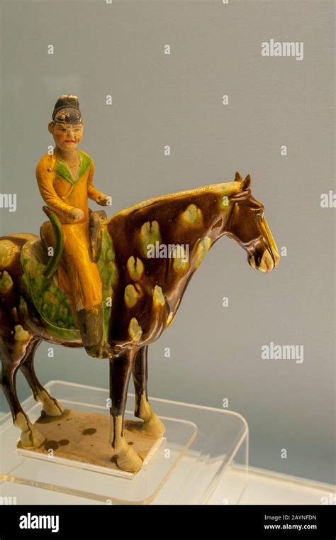 Equestrian Statue From 1680 AD Tang Dynasty In An Exhibit At The