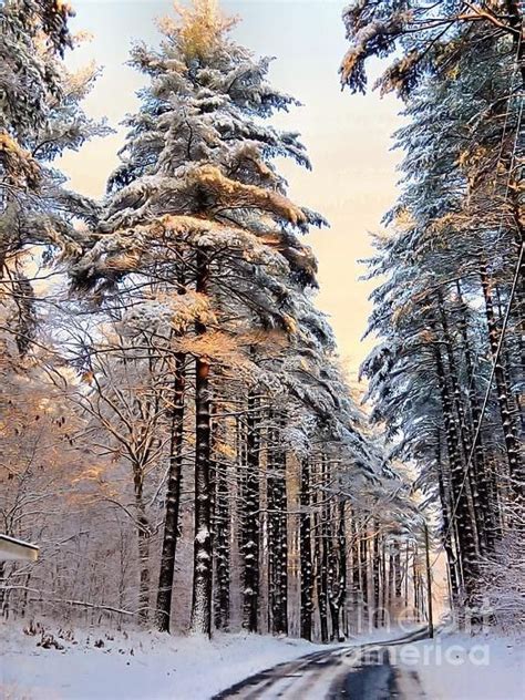 Pin By Mabel Tejera On Postales De Invierno Winter Scenery Winter