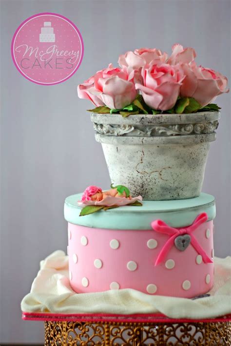 Special Occasion Cakes Mcgreevy Cakes Flower Pot Cake Cake Pot Cakes