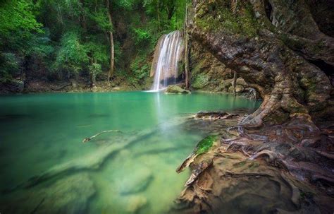Waterfall Forest Roots Thailand Tropical Trees Green