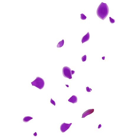 Floating Petals Hd Transparent Purple Floating Petals Cartoon Hand Drawn Petals Floating